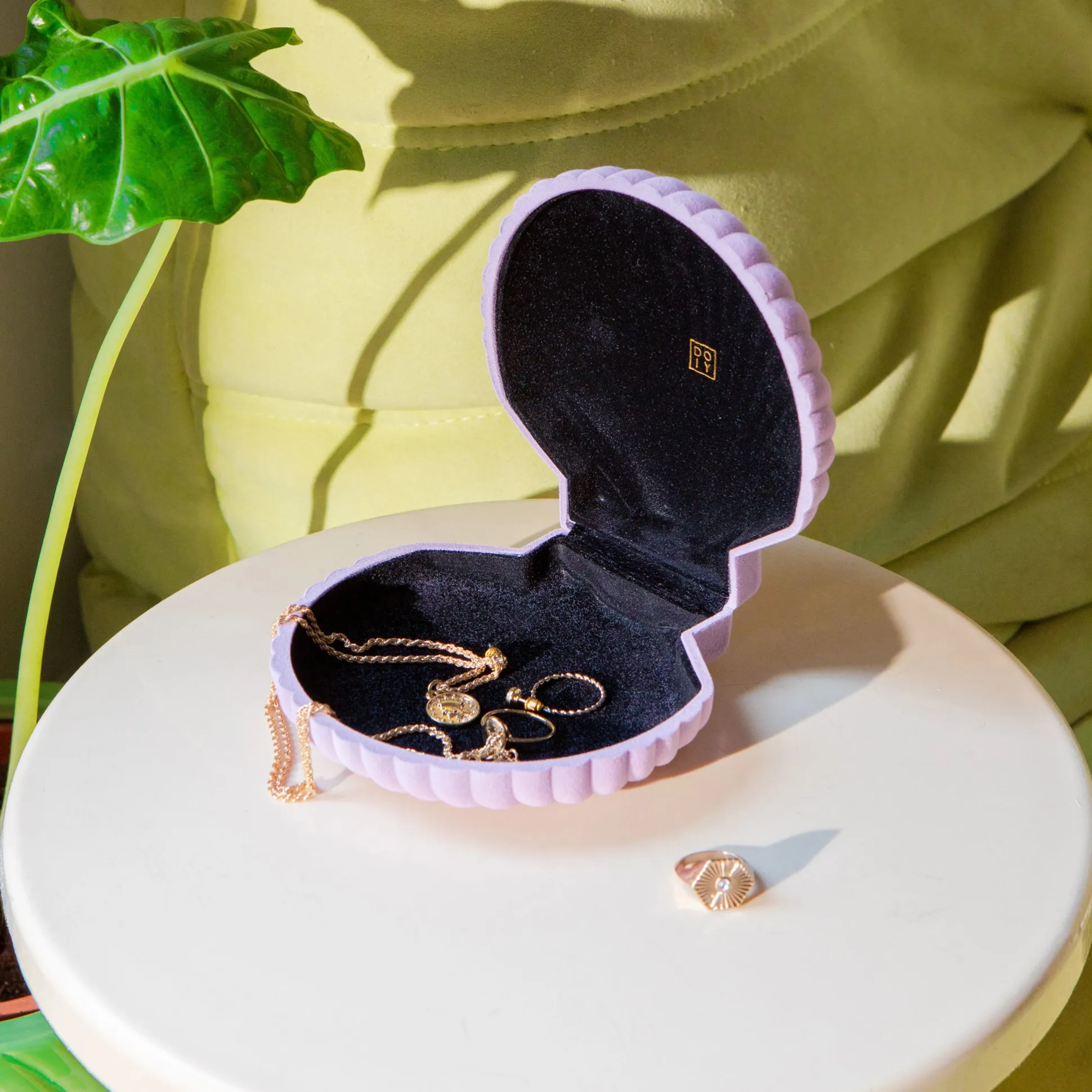 Venus Velvet Seashell Jewelry Box