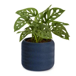 Wavy Pine 3D-Printed Planter