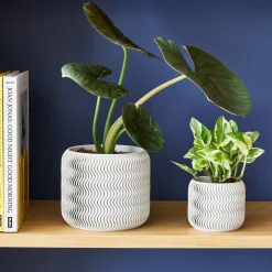Wavy Pine 3D-Printed Planter