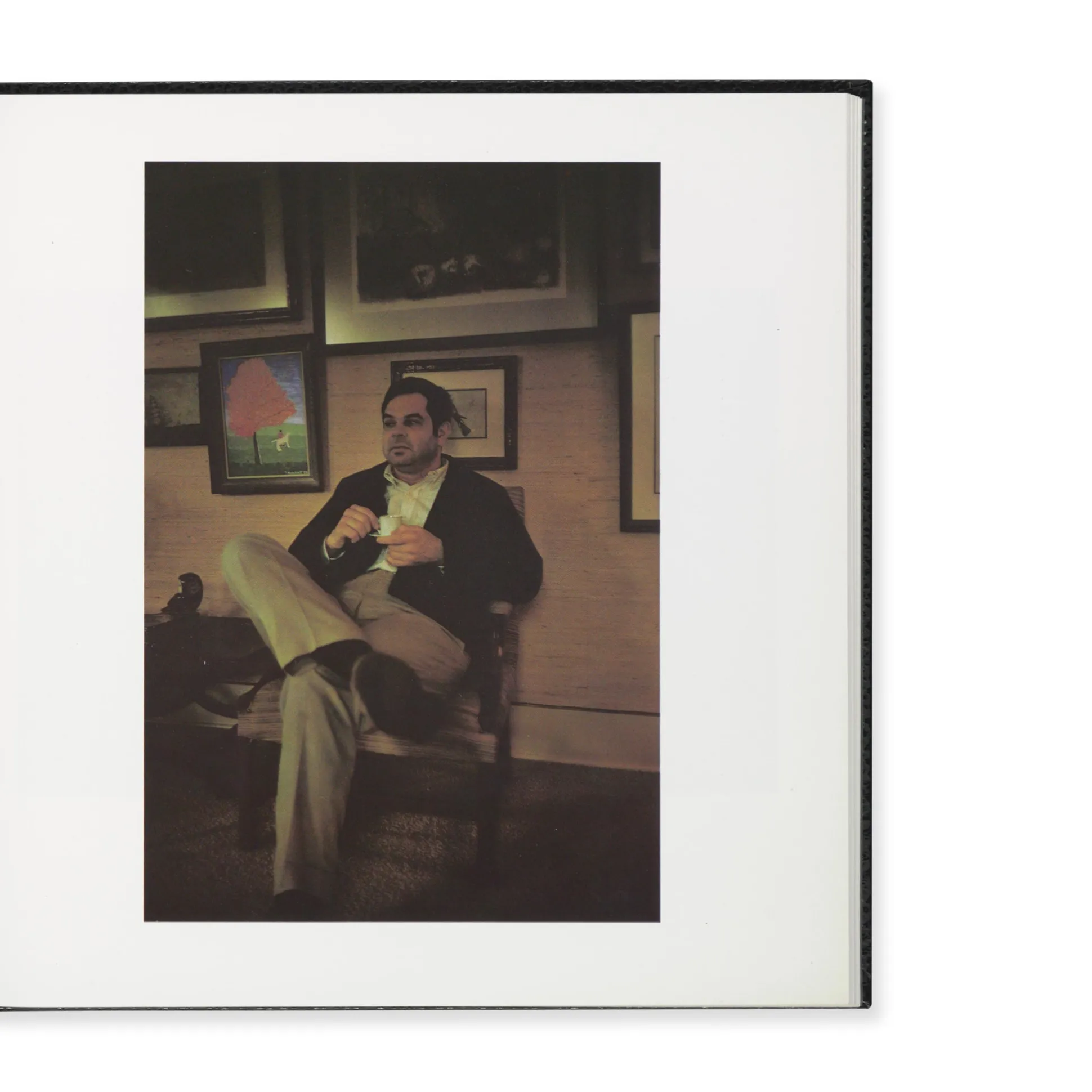 William Eggleston's Guide - Hardcover